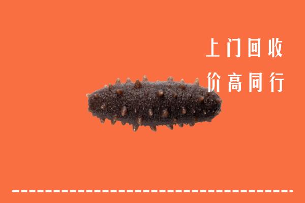 高价求购：红河州个旧回收海参