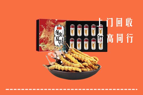 收购行情：红河州个旧回收虫草